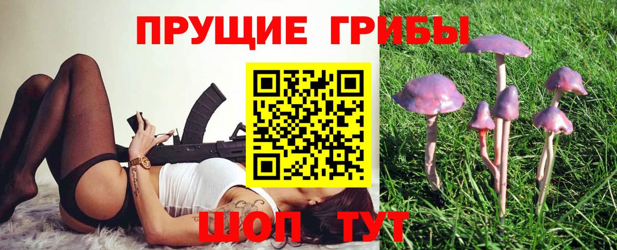 Псилоцибиновые грибы мицелий  Вход с VPN  Люберцы  Псилоцибиновые грибы ЛСД 